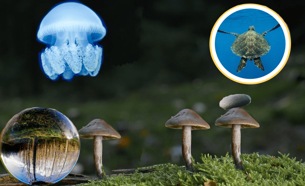 Photoshop Lesson 5: Cloning and Spot Healing&nbsp;tools