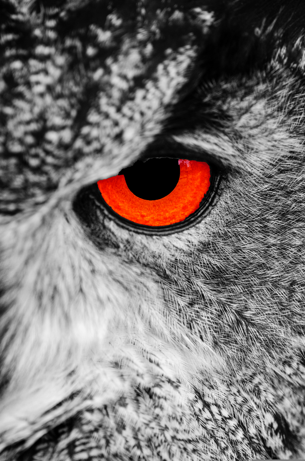 Photoshop Lesson 6: Quick Select and Colour&nbsp;Alterations